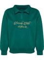 Trendyol Emerald Green Shirt Collar With Embroidery Regular Fit, Fleece Inside Knitted Sweatshirt