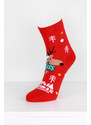 Aura.via Vánoční ponožky SNP9357R.WH