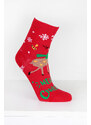 Aura.via Vánoční ponožky SNP9357R.GR