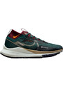 Trailové boty Nike Pegasus Trail 4 GORE-TEX dj7926-302