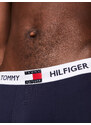 Pánské spodní prádlo Close to Body TRUNK UM0UM01810CHS - Tommy Hilfiger