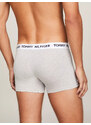 Spodní díl pánského spodního prádla TRUNK UM0UM01810P01 - Tommy Hilfiger