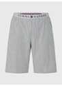 Pánské šortky JERSEY SHORT UM0UM01203004 - Tommy Hilfiger