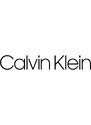 Pánské spodní prádlo S/S CREW NECK 2PK 000NB2221A100 - Calvin Klein