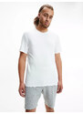 Pánské spodní prádlo S/S CREW NECK 2PK 000NB2221A100 - Calvin Klein