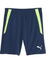 Šortky Puma teamLIGA Training Shorts 2 (open pockets) 657667-54