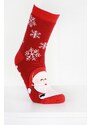 Hobby day sock Vánoční ponožky ZP-1