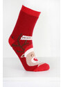 Hobby day sock Vánoční ponožky ZP-2