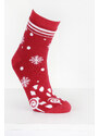 Hobby day sock Vánoční ponožky ZP-4