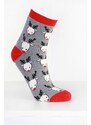 Hobby day sock Vánoční ponožky ZP-5