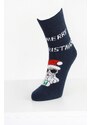 Pesail Vánoční ponožky SD14NA