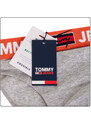 Tommy Hilfiger Jeans Tanga UW0UW02773P61 Grey