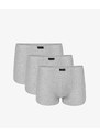 Boxer shorts Atlantic 3BMH-007 A'3 S-2XL grey melange 009