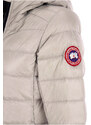 Canada Goose Péřová bunda pro ženy, Puffer lyžařská bunda, Stříbrná, Nylon, 2024, 38 40 M