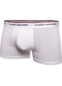 3PACK pánské boxerky Tommy Hilfiger vícebarevná