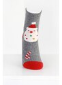 Pesail Ponožky s vánočním potiskem SD16G