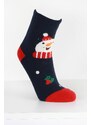 Pesail Vánoční termo ponožky SDM04NA
