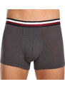 3PACK pánské boxerky Tommy Hilfiger vícebarevné (UM0UM03035 0UG)