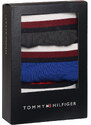3PACK pánské boxerky Tommy Hilfiger vícebarevné (UM0UM03035 0UG)