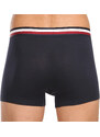 3PACK pánské boxerky Tommy Hilfiger vícebarevné (UM0UM03035 0T1)