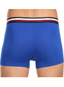 3PACK pánské boxerky Tommy Hilfiger vícebarevné (UM0UM03035 0UG)