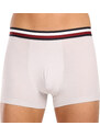 3PACK pánské boxerky Tommy Hilfiger vícebarevné (UM0UM03035 0T1)