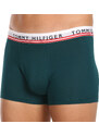 3PACK pánské boxerky Tommy Hilfiger vícebarevné (UM0UM03007 0UF)