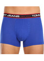 3PACK pánské boxerky Tommy Hilfiger vícebarevné (UM0UM02968 0WF)