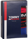 3PACK pánské boxerky Tommy Hilfiger vícebarevné (UM0UM02968 0WF)