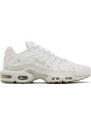 Nike Air Max Plus A-COLD-WALL Platinum Tint