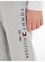 TOMMY HILFIGER Kalhoty námořnická modř / světle šedá / ohnivá červená / bílá