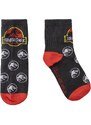 SOCKS PACK 5 PIECES JURASSIC PARK