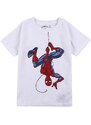 SHORT SHIRT SINGLE JERSEY SPIDERMAN