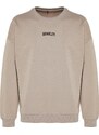 Trendyol Mink Oversize/Wide-Fit Brooklyn City Text Embroidery Thick Cotton Sweatshirt