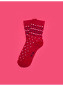 Big Star Woman's Standard Socks 210478 603