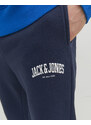 JACK&JONES JPSTKANE JJJOSH SWEAT PANTS AMT NOOS