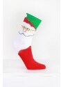 Emi Ross Vánoční ponožky ECC-2984MC-4