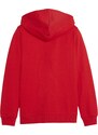 Mikina s kapucí Puma teamGOAL Casuals Hoodie Kids 658596-01