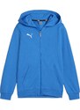 Mikina s kapucí Puma teamGOAL Casuals Hoodie Kids 658596-02