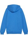 Mikina s kapucí Puma teamGOAL Casuals Hoodie Kids 658596-02