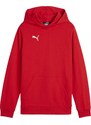 Mikina s kapucí Puma teamGOAL Casuals Hoody Kids 658619-01