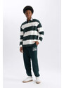 DEFACTO Boxy Fit Polo Collar Striped Polo T-Shirt