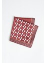 ALTINYILDIZ CLASSICS Men's Claret Red-Red Patterned Handkerchief