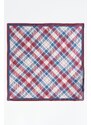 ALTINYILDIZ CLASSICS Men's Red-white Patterned Handkerchief