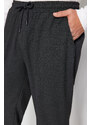 Trendyol Anthracite Regular Fit Elastic Waist Plus Size Trousers