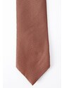 ALTINYILDIZ CLASSICS Men's Cinnamon Print Tie