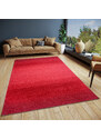 Hanse Home Collection koberce Kusový koberec Bila 105856 Masal Red - 60x90 cm