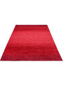 Hanse Home Collection koberce Kusový koberec Bila 105856 Masal Red - 60x90 cm