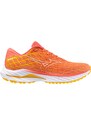 Běžecké boty Mizuno WAVE INSPIRE 20 j1gd244429