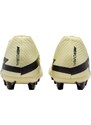 Kopačky Nike ZOOM VAPOR 15 ACADEMY AG dj5630-700